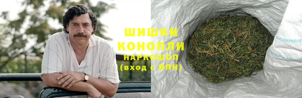 стаф Нефтегорск