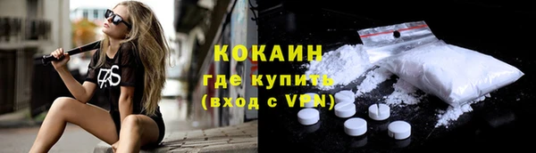 PSILOCYBIN Нея